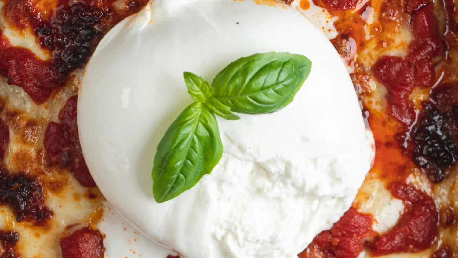 Nduja & Burrata Detroit Style Pizza recipe poster image
