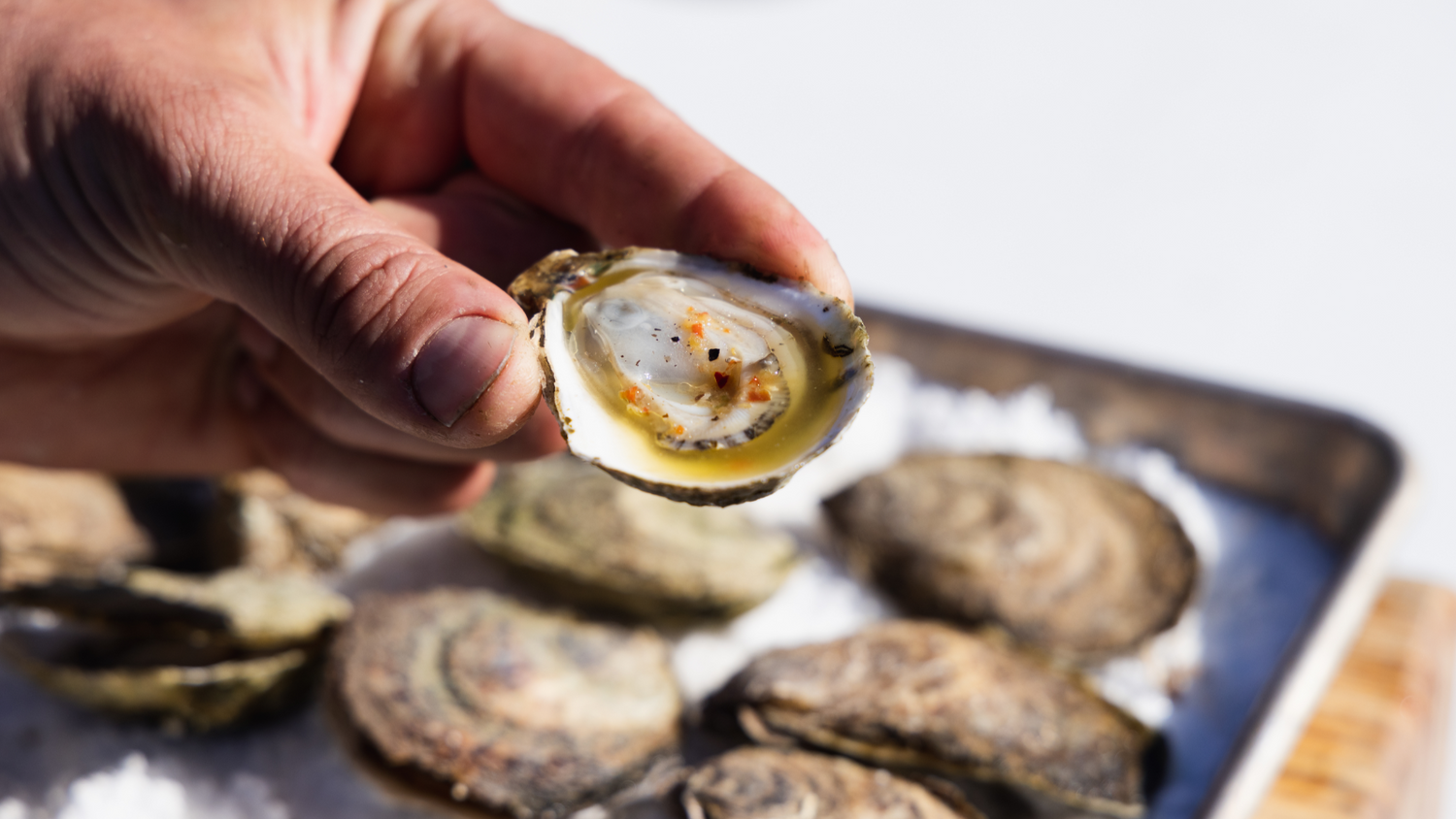 Roasted Oysters recipe poster image