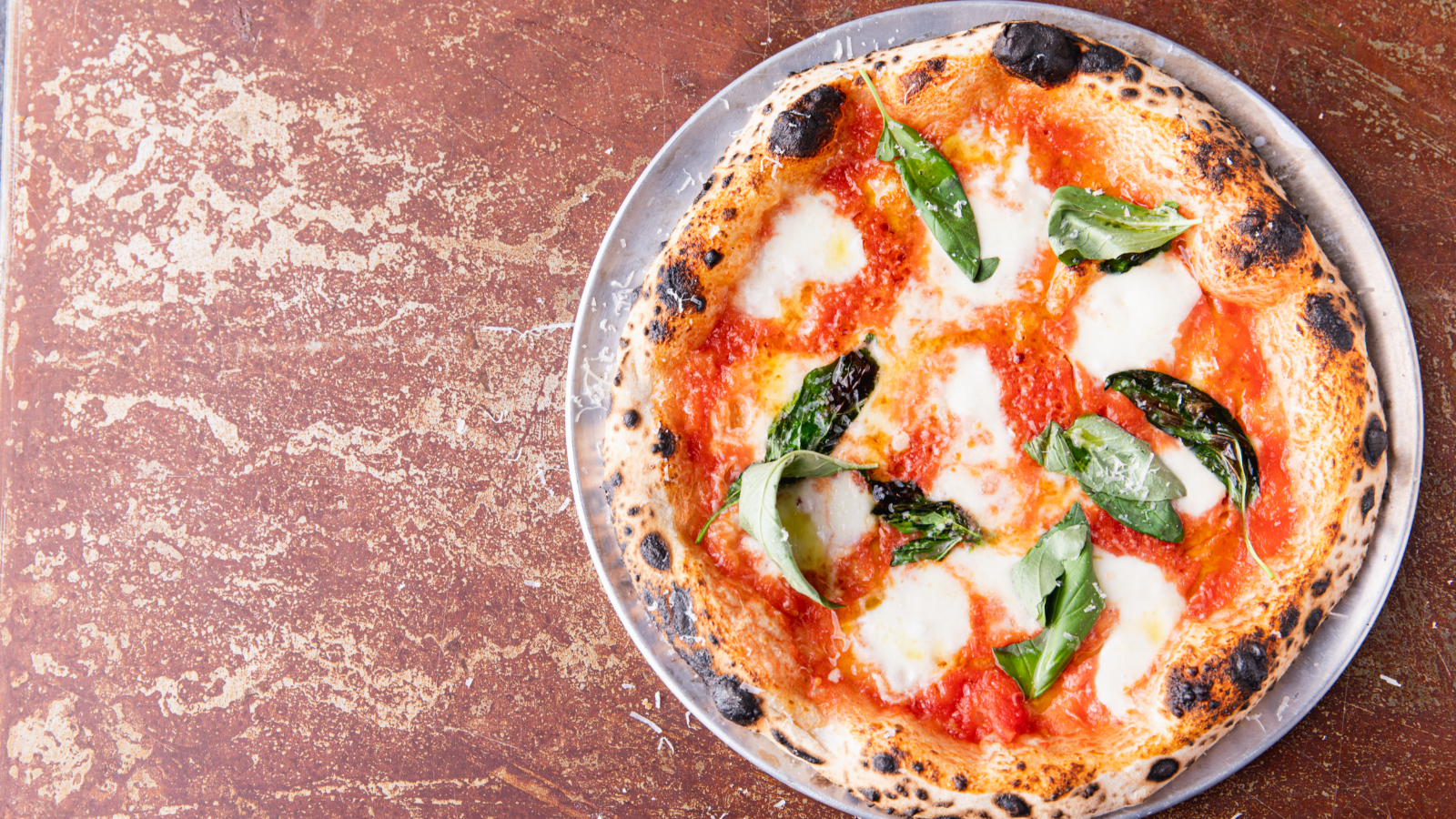 PIATNIK製 トランプ リピッツァナー(軽種馬) Lipizzaner I Neapolitan_Pizza_Mike_Fitzick_