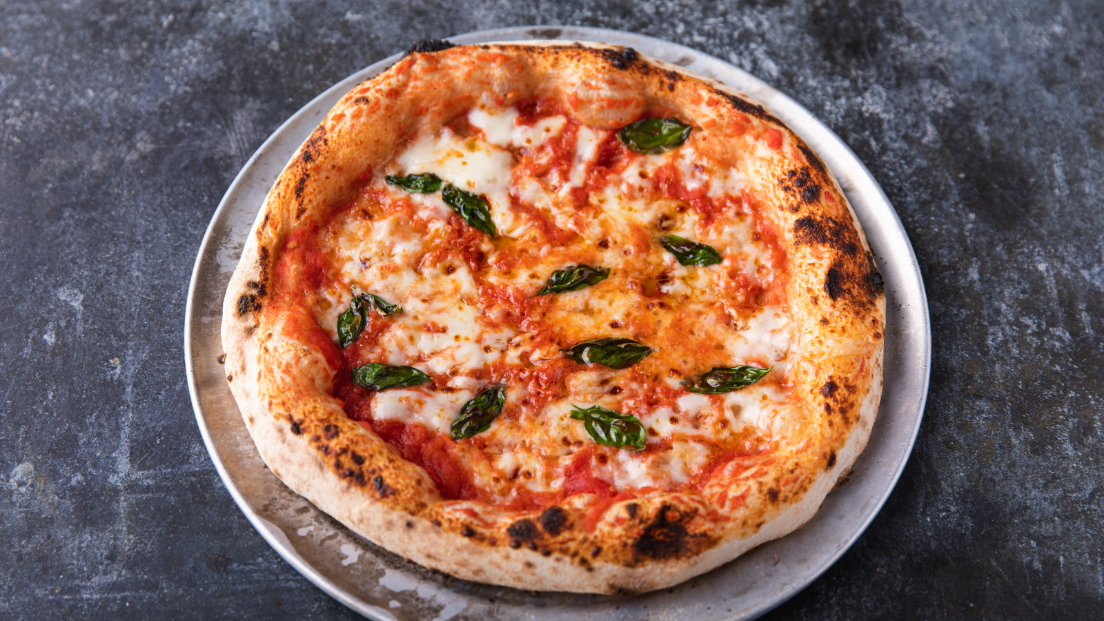 Sourdough Pizza Dough-image